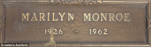 2A16344400000578-3143478-image-a-69_1435597951960